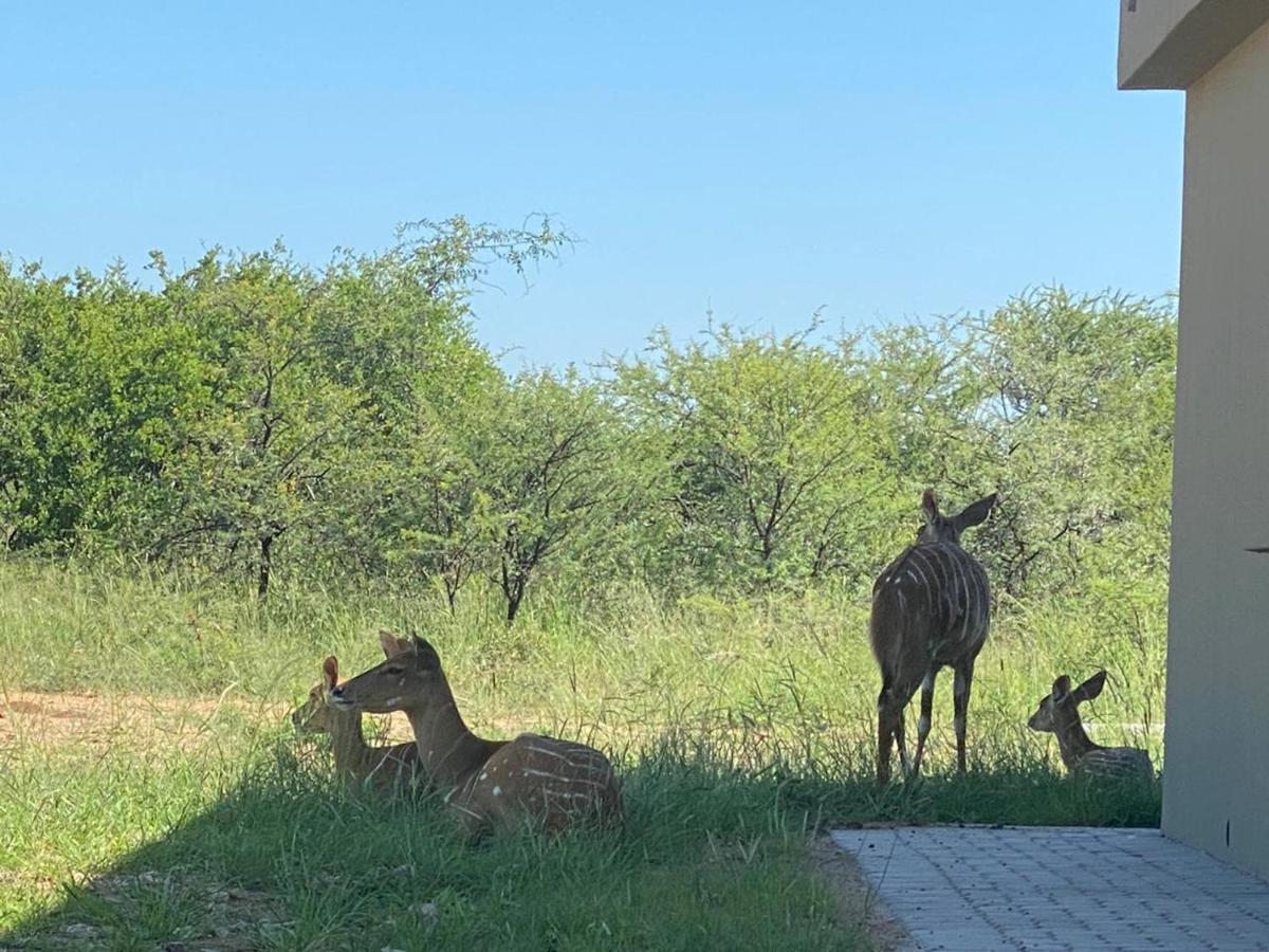 42@ Ditholo Game Lodge Thabazimbi Luaran gambar