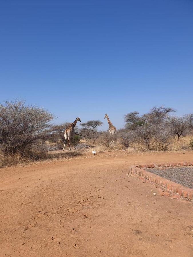 42@ Ditholo Game Lodge Thabazimbi Luaran gambar