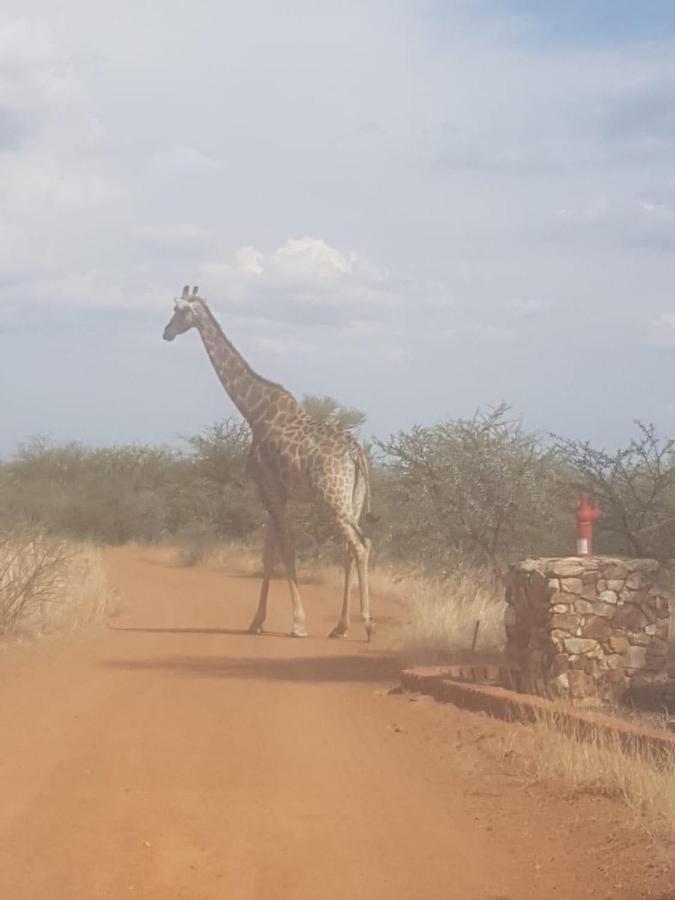 42@ Ditholo Game Lodge Thabazimbi Luaran gambar